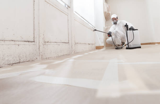 24/7 Emergency Attic Mold Removal experts in White Plains, NY